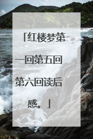 红楼梦第一回第五回第六回读后感。