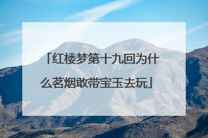 红楼梦第十九回为什么茗烟敢带宝玉去玩
