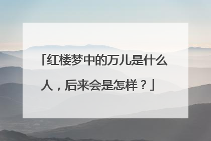 红楼梦中的万儿是什么人,后来会是怎样?