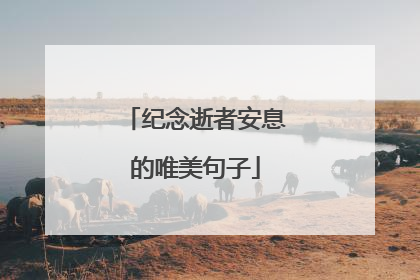 纪念逝者安息的唯美句子