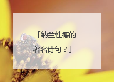 纳兰性德的著名诗句?