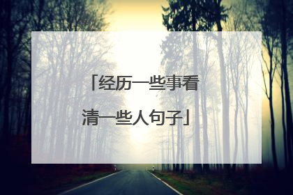 经历一些事看清一些人句子