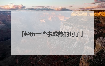 经历一些事成熟的句子
