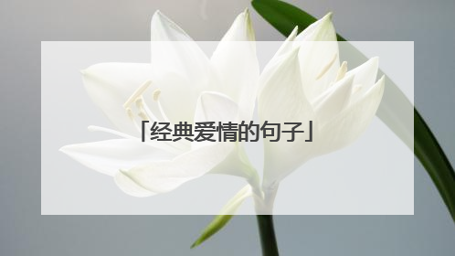 经典爱情的句子