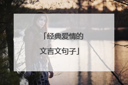 经典爱情的文言文句子