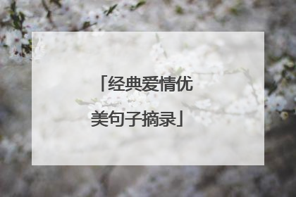 经典爱情优美句子摘录