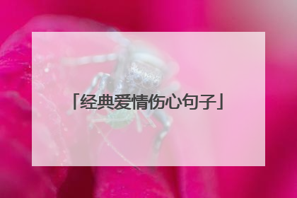 经典爱情伤心句子