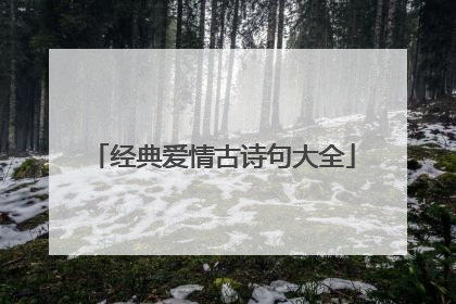 经典爱情古诗句大全