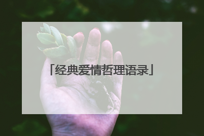 经典爱情哲理语录