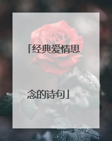 经典爱情思念的诗句