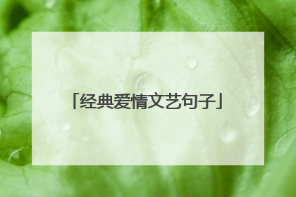 经典爱情文艺句子