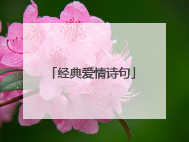 经典爱情诗句