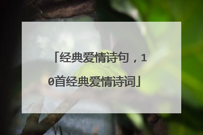 经典爱情诗句,10首经典爱情诗词