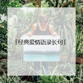 经典爱情语录长句