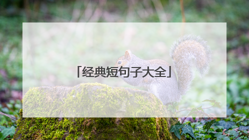 经典短句子大全