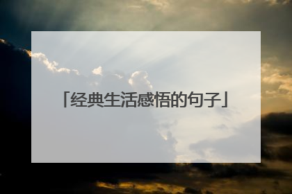 经典生活感悟的句子