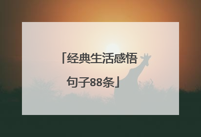 经典生活感悟句子88条