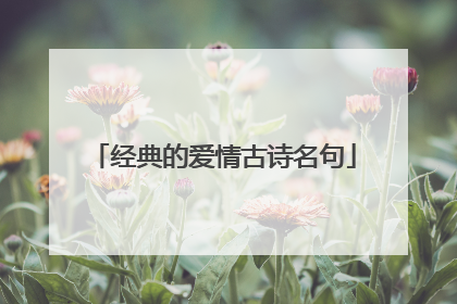 经典的爱情古诗名句
