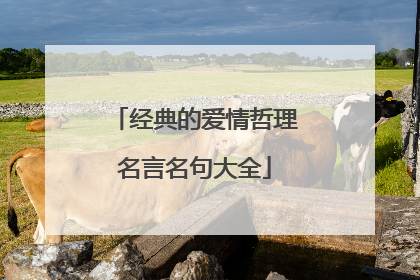 经典的爱情哲理名言名句大全