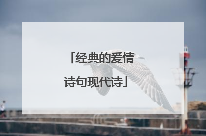 经典的爱情诗句现代诗