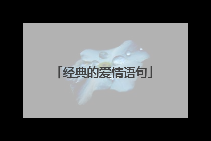经典的爱情语句
