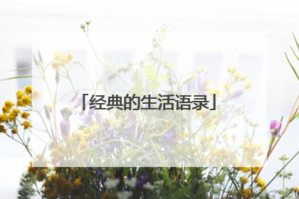 经典的生活语录