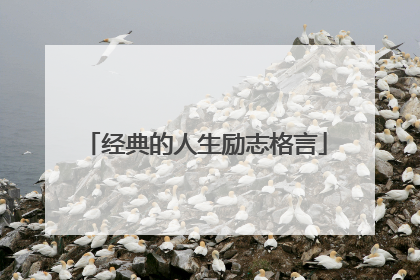 经典的人生励志格言