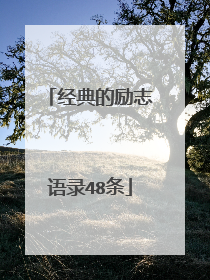 经典的励志语录48条
