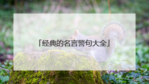 经典的名言警句大全
