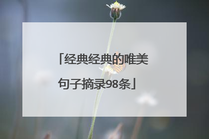 经典经典的唯美句子摘录98条
