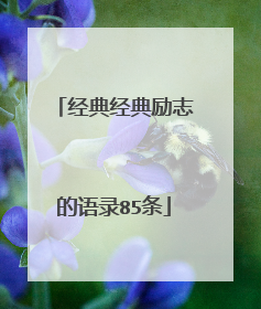 经典经典励志的语录85条