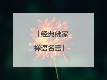 经典佛家禅语名言