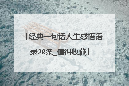 经典一句话人生感悟语录20条_值得收藏