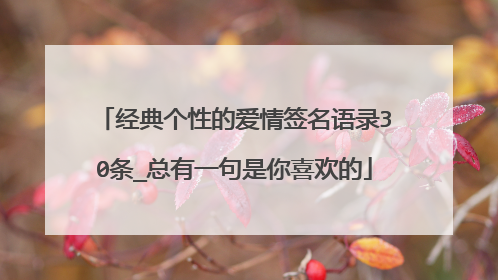 经典个性的爱情签名语录30条_总有一句是你喜欢的