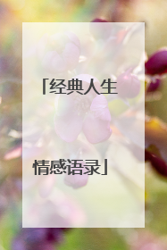 经典人生情感语录