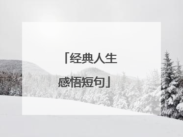 经典人生感悟短句
