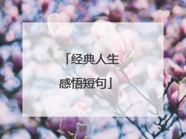 经典人生感悟短句