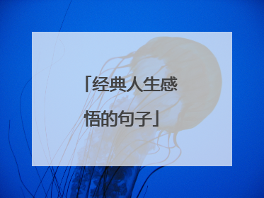经典人生感悟的句子