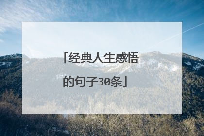 经典人生感悟的句子30条