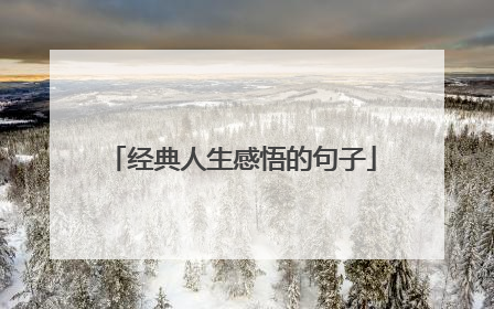 经典人生感悟的句子