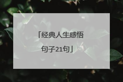 经典人生感悟句子21句