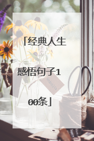 经典人生感悟句子100条