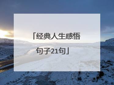 经典人生感悟句子21句