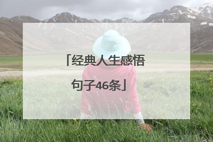 经典人生感悟句子46条