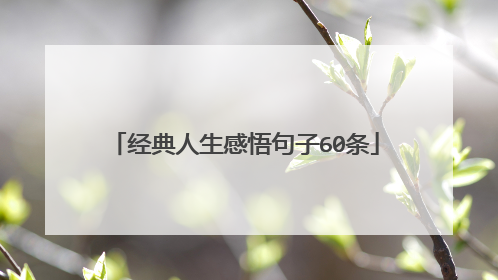 经典人生感悟句子60条