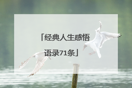 经典人生感悟语录71条