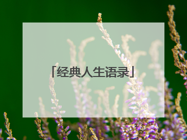 经典人生语录