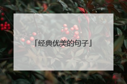 经典优美的句子