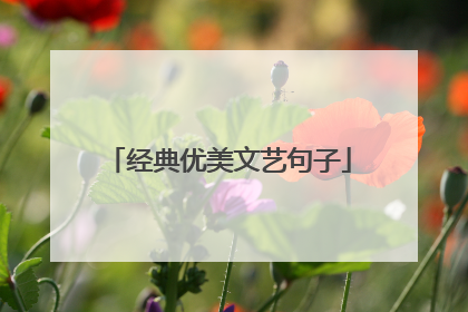 经典优美文艺句子
