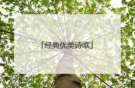 经典优美诗歌
